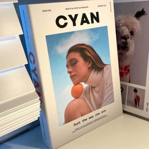 인테리어 촬영 소품 가짜 모형책 자몽 촬영소품 책상