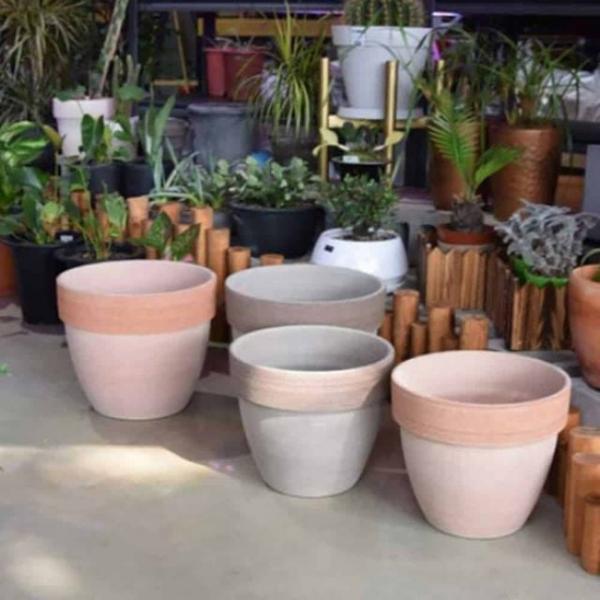 바소팔라디오 40x34cm 황칠나무화분 회사화분 집들이화분