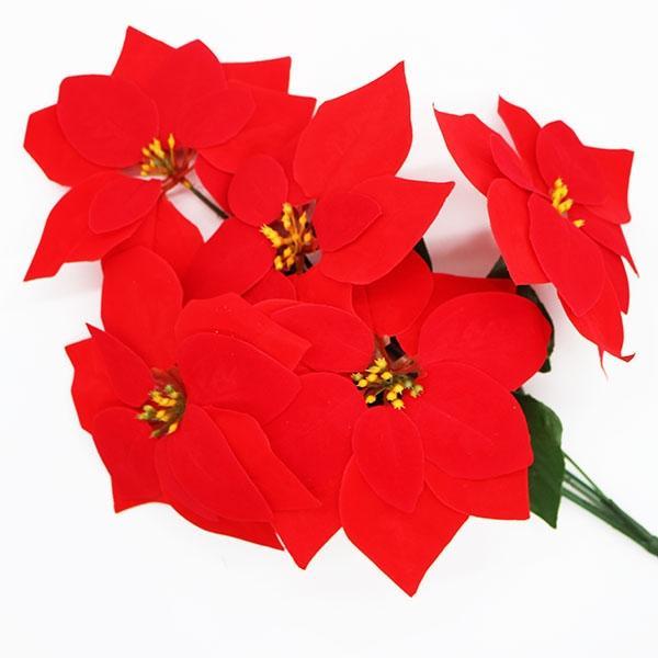 겨울꽃 포인세티아 5부쉬 1개 랜덤발송