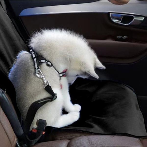 반려동물 시트 차량용 매트 외출 오염방지 깔개 패드