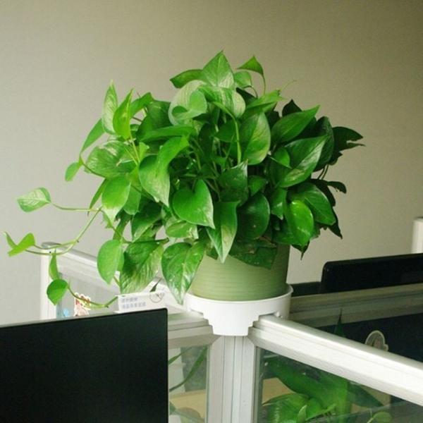 파티션 화분받침대 사무실 십자형 T형 화분대 2p