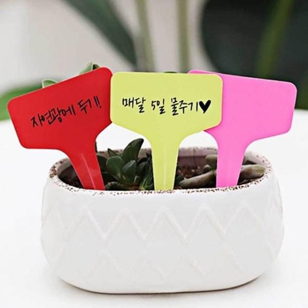 화분 이름표 100P 소형 가드닝 식물