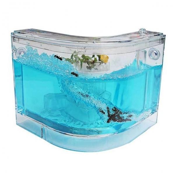 개미집 곤충키우기 관찰 탐구심 교육