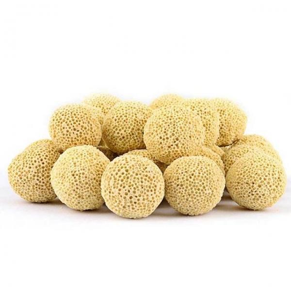 박테리아볼 어항 여과재 420g 배양 상면