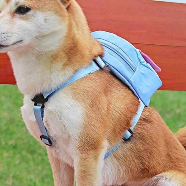 강아지 가방 하네스 리드줄 백팩