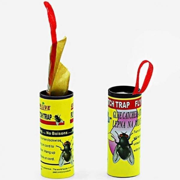 끈끈이 트랩 해충 4p 점착력 파리