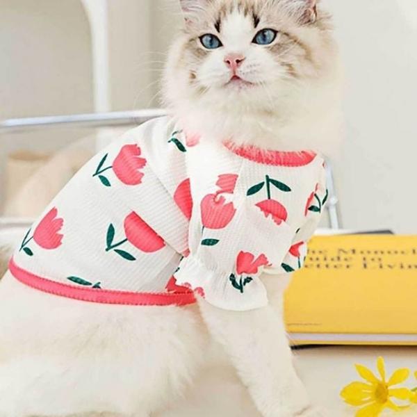 와플 강아지 옷 티셔츠 퍼프