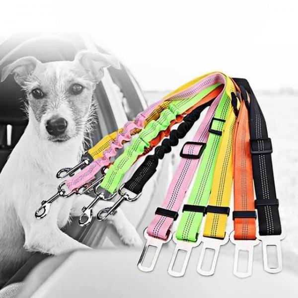 안전 강아지 벨트 안전벨트 스테인레스