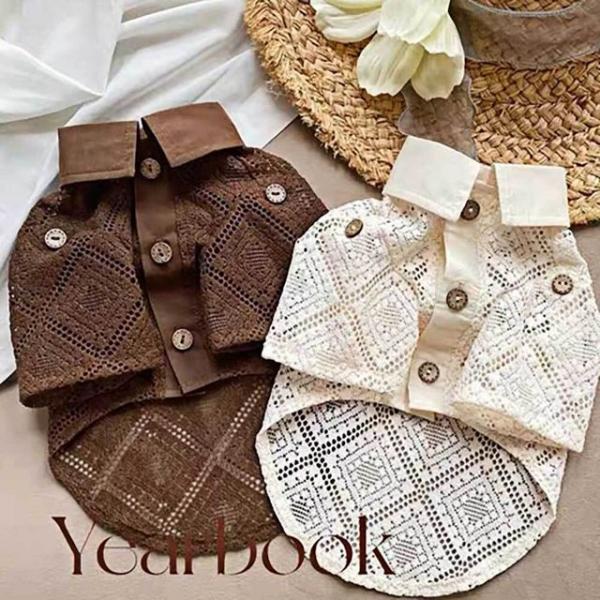 레이스 셔츠 통기성 반팔 여자