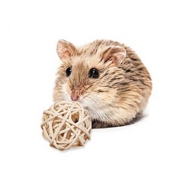 등나무 햄스터공 간식 원목