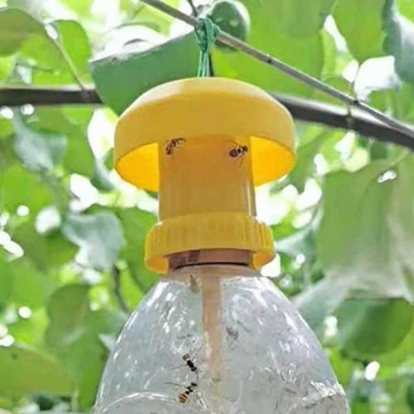 초파리 트랩 페트병 해충