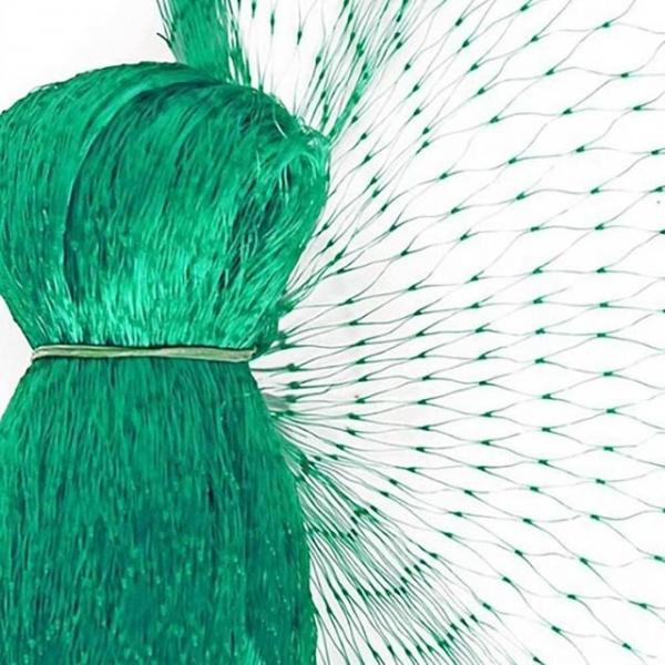 그물 망 농작물 10M 그물망 과수원