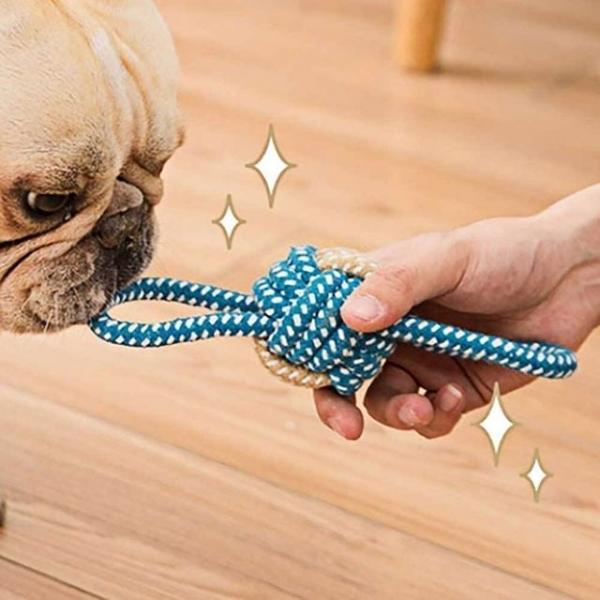 강아지 장난감 로프 스트레스 제거