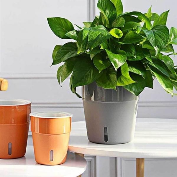 자동급수 화분 심플 11cm 인테리어 사무실