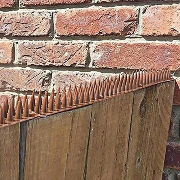 버드스파이크 비둘기 퇴치 망 돌기 테이프