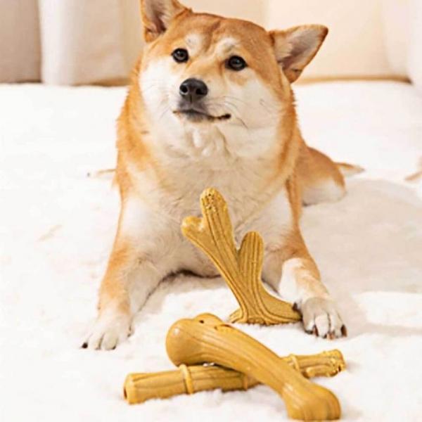 강아지 장난감 우드스틱 소나무 스트레스