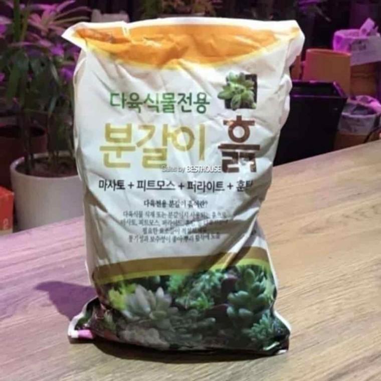마사토 다육이분갈이흙 다육이분갈이 분갈이흙 다육이 2.8L