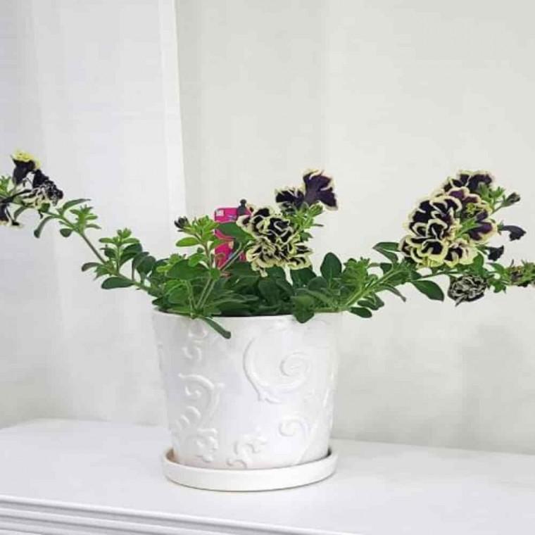 화분선물 장식용화분 소형화분 도기 화분 15x15