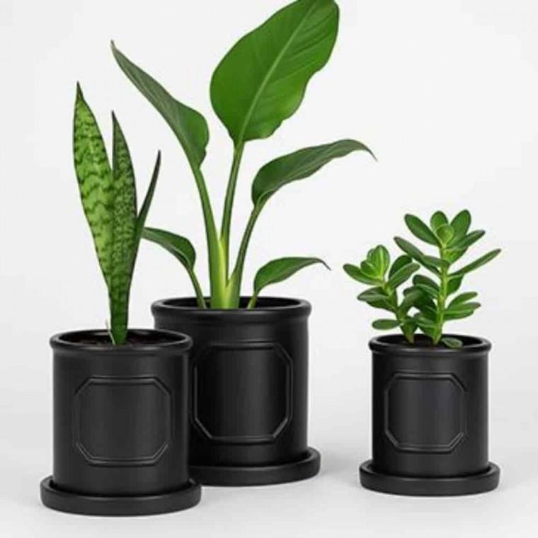 화분인테리어 화분도자기 화분분갈이 도자기화분 원형 8cm 60p 받침세트