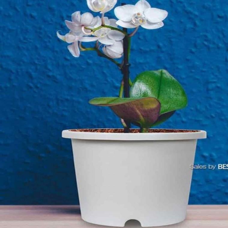 베란다화분 다육화분 야외화분 플라스틱화분 포트 3.6L 20x17
