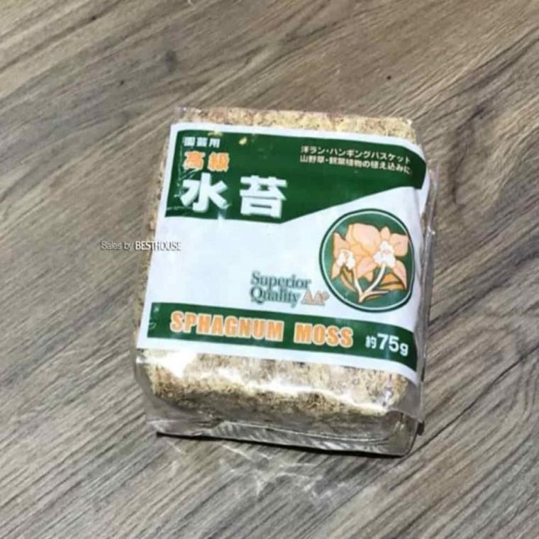 난키우기 난관리 토피어리 건조 수태 75g