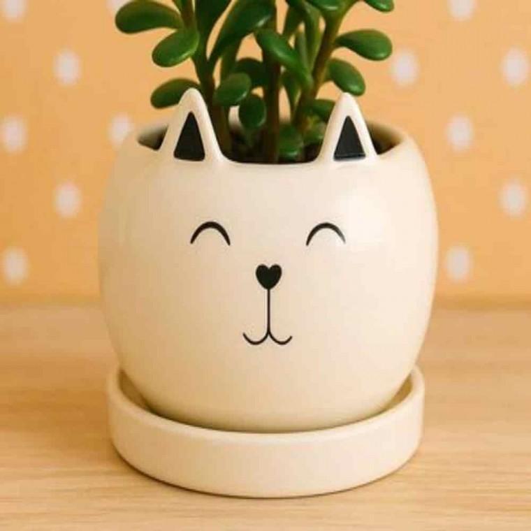 돈나무화분 호야화분 화분분갈이 도기화분 고양이 10x8