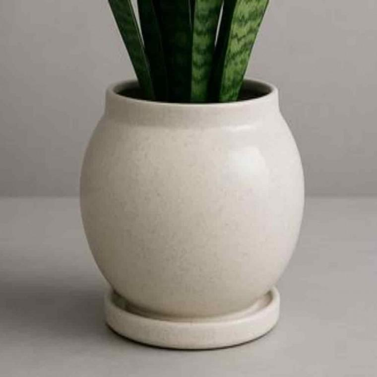 금전수화분 모던화분 아레카야자화분 도기화분 달항아리 11x15