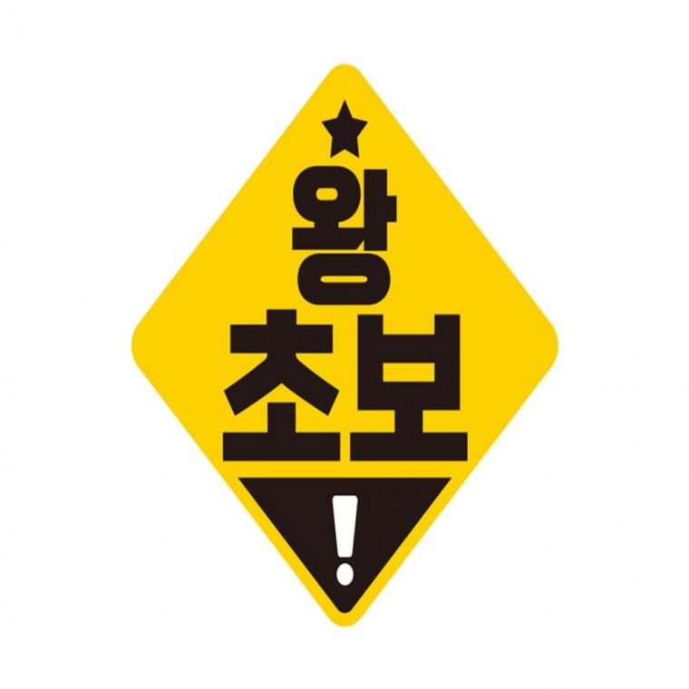 왕초보 고휘도반사 자석 자동차스티커 19x19cm 부모님운전스티커 차량스티커 임산부운전스티커