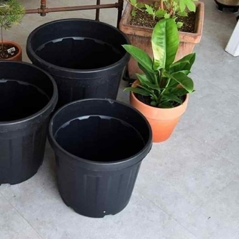 블루베리대형화분 도로화분 산세베리아화분 포트화분 D70L
