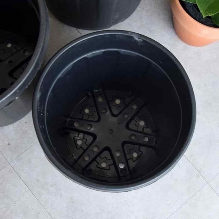 녹보수키우기 가드닝용품 정원화분 포트화분 D7.5L