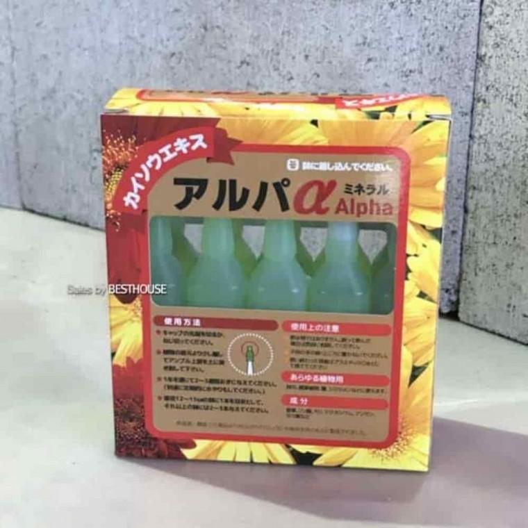 다육영양제 소나무영양제 화초영양제 앰플 영양제 앰플 10p