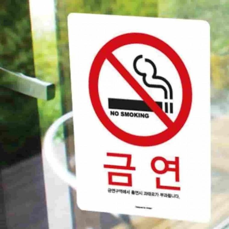 금연알림스티커 중형 120x160 금연표지 금연구역표지판 금연구역안내표지판 금연구역스티커 금연구역표시