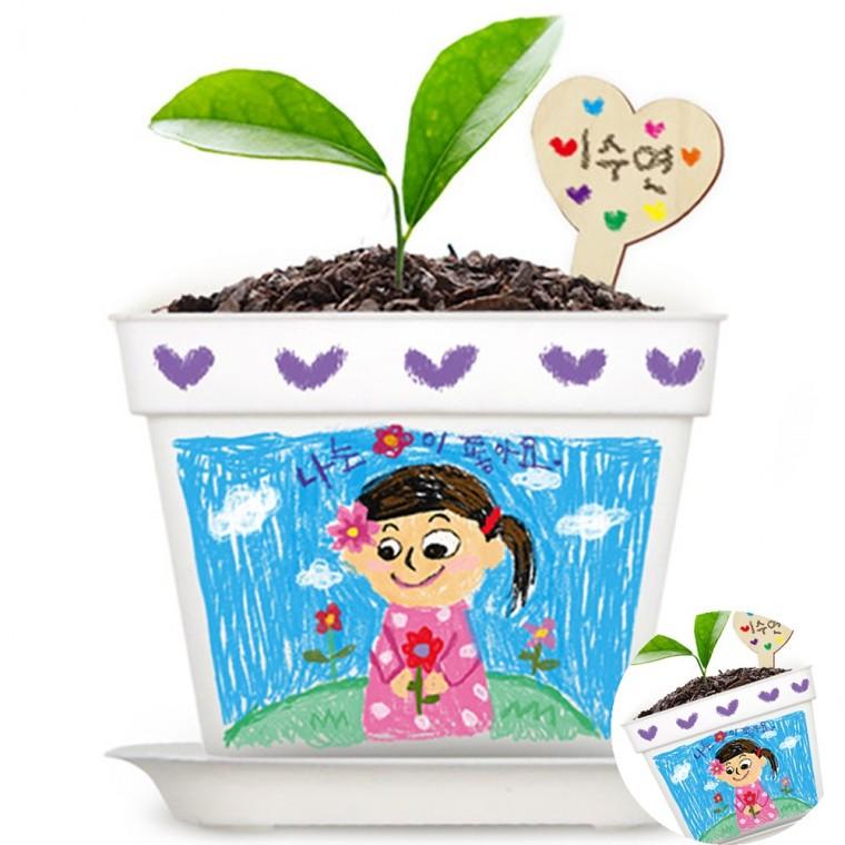 화분 5인용 식물기르기 식물키우기세트 식물키우기