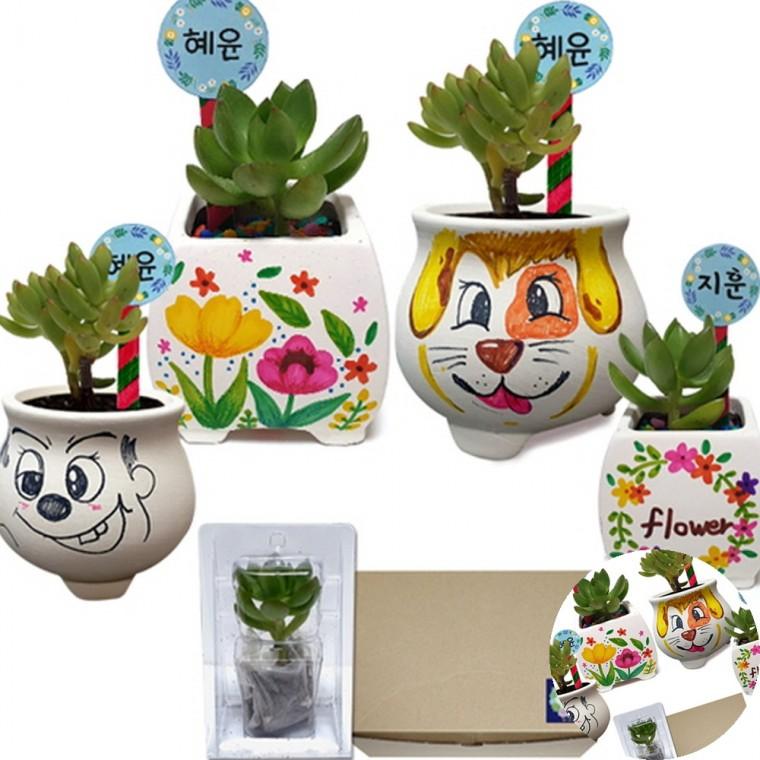다육식물 화분 꾸미기세트 화분만들기DIY 반려식물키트 화분인테리어소품