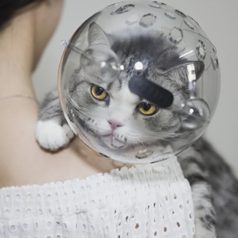 고양이 입마개중형묘 고양이목욕용품 고양이케어