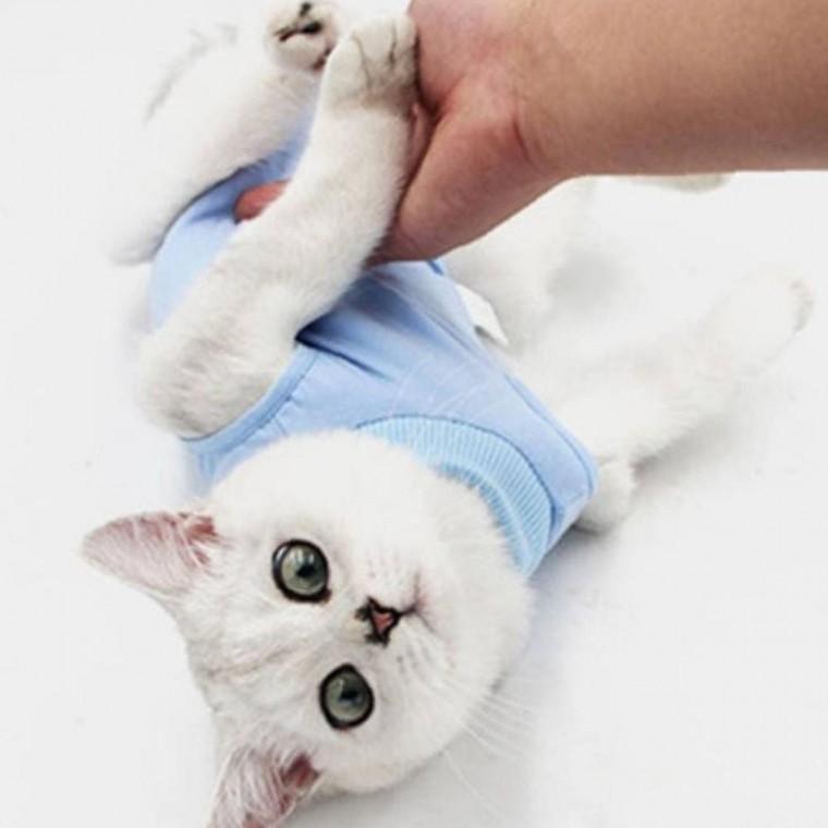 고양이 슬림한 수술복 중성화옷 편안한 착용감