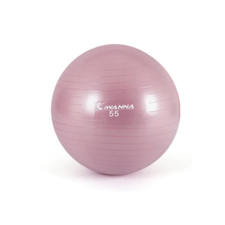 짐볼 55cm 와일드 핑크 요가볼 스트레칭공 운동볼