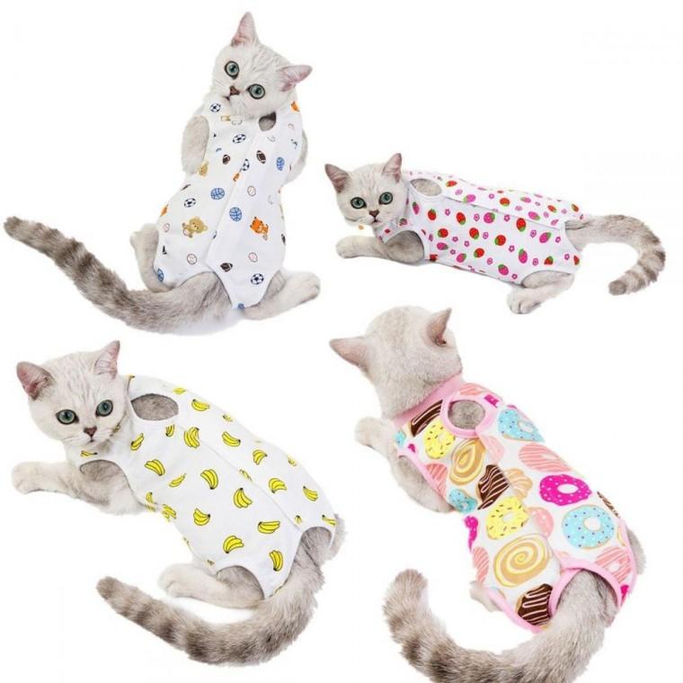 반려묘 고양이 수술 중성 화복