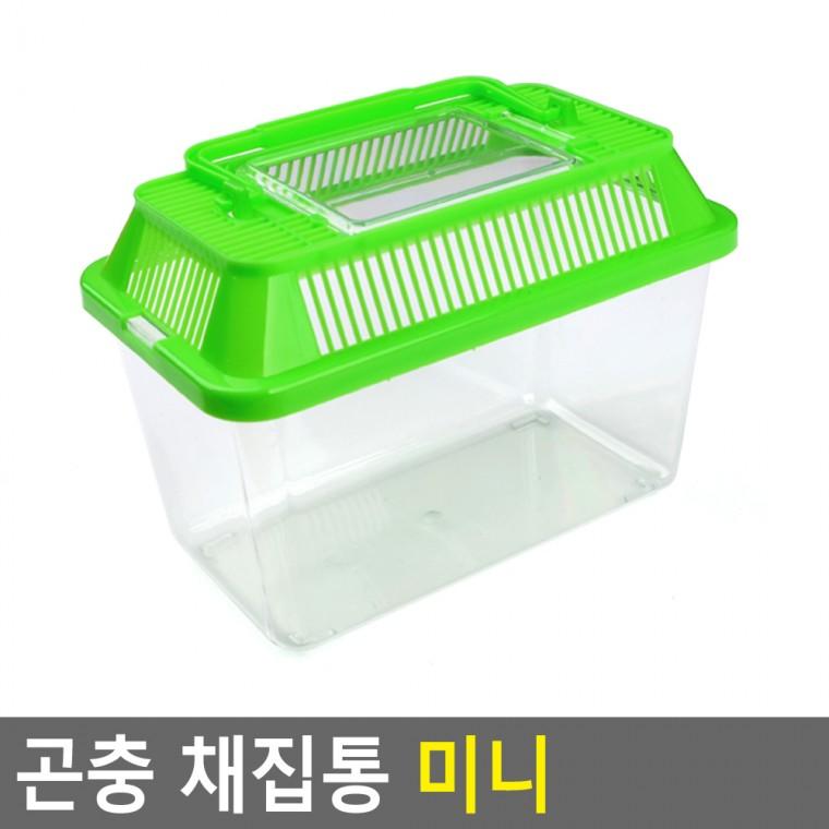 곤충채집통 사각채집통 유치원과학활동 컬러 플라스틱 채집통 미니
