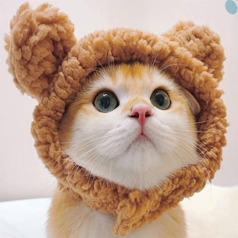 고양이 모자 냥이모자 소형강아지모자