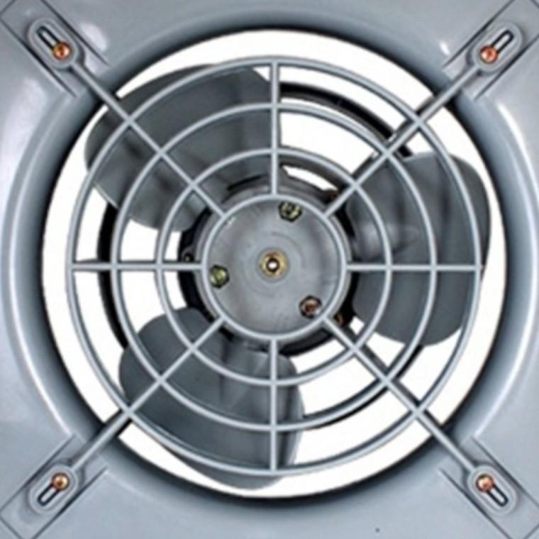 벨마우스팬 환풍기 DWV20BP 4개 정화조환풍기
