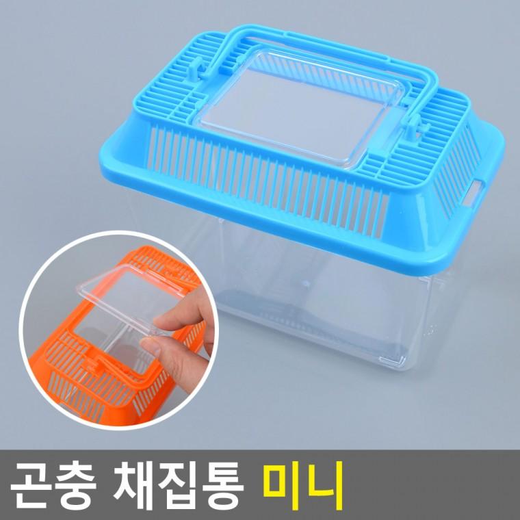 곤충 채집통 미니 물고기채집통 어린이해루질통