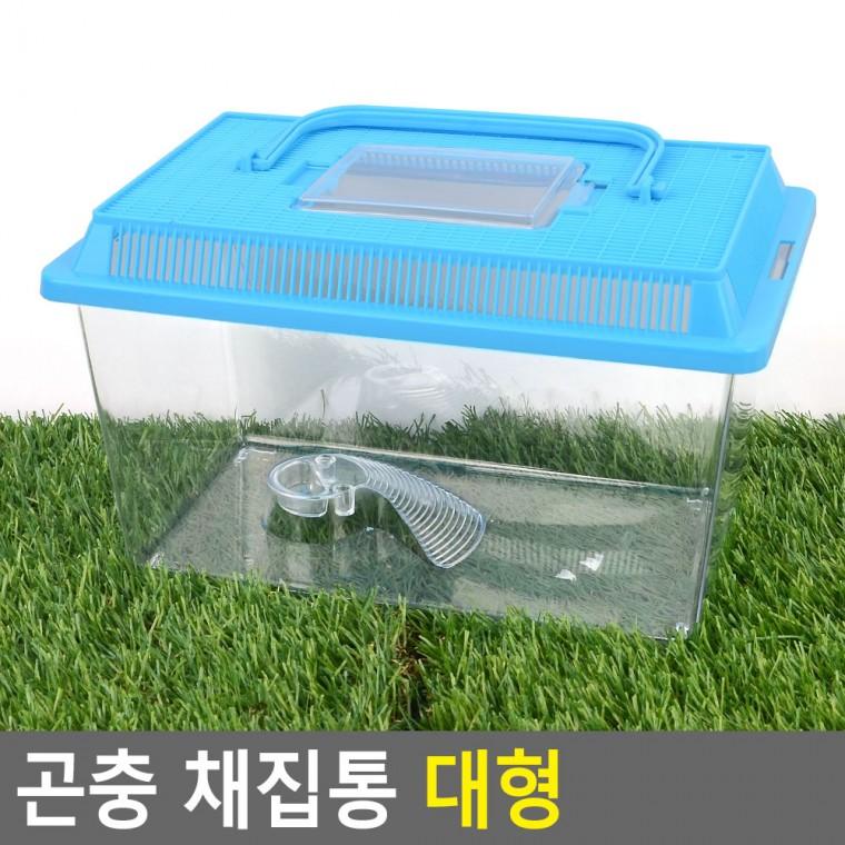 유치원과학활동 물고기채집통 달팽이채집통 컬러 플라스틱 채집통 대형