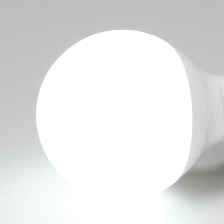 LED 볼전구 10W G80 주광 LED볼구