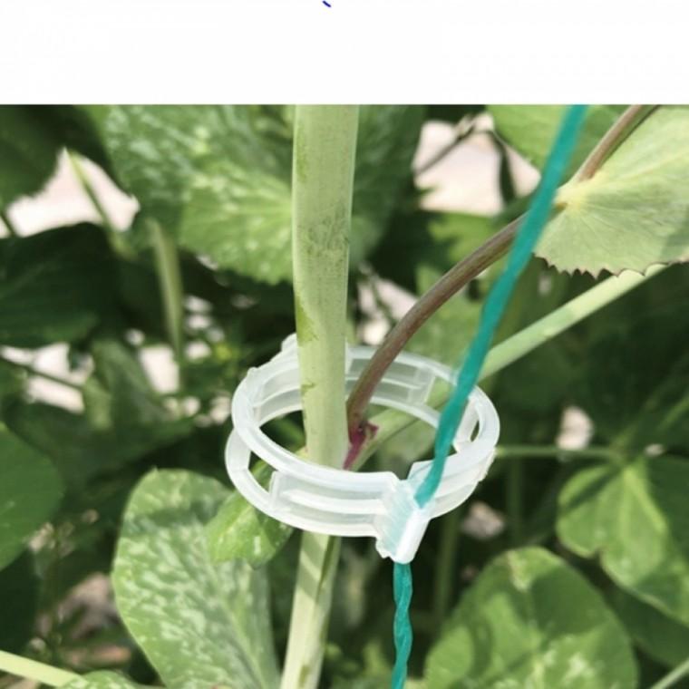식물고정 딸기 수박 원예 줄기 고정 지지대 클립 10p