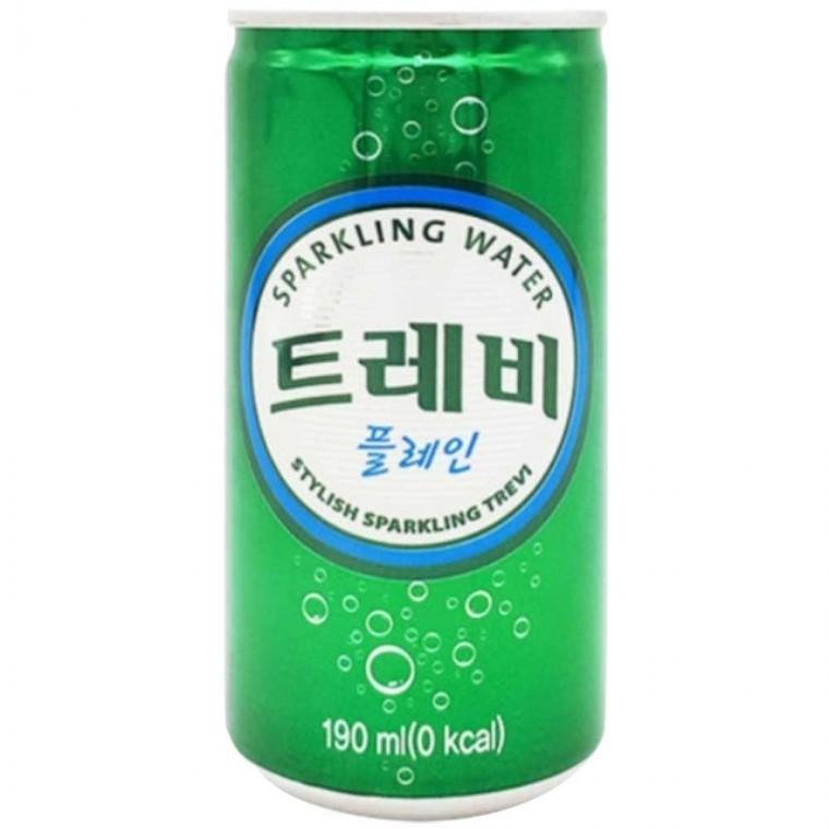 롯데 트레비 플레인 x 30 개