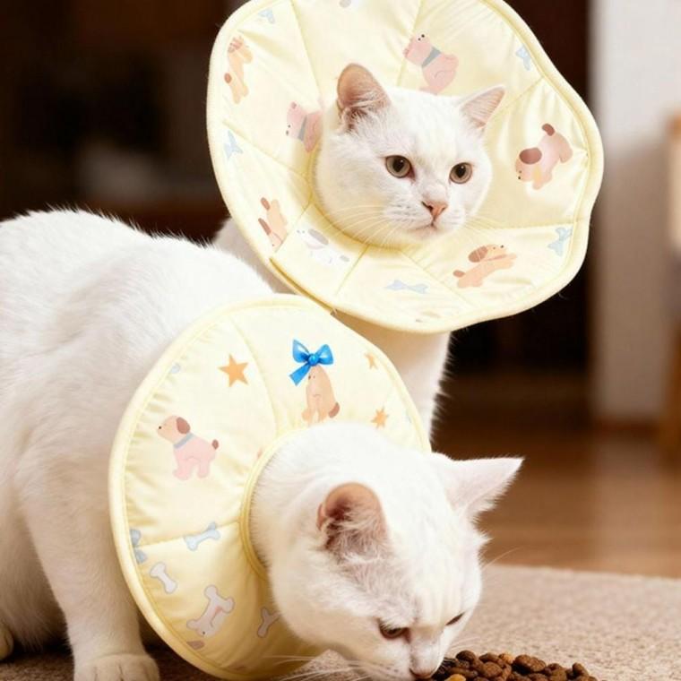 반려동물 고양이 상처보호 넥카라