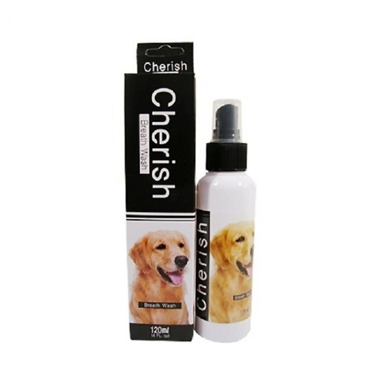 (3개묶음)체리쉬 구강청정제 120ml