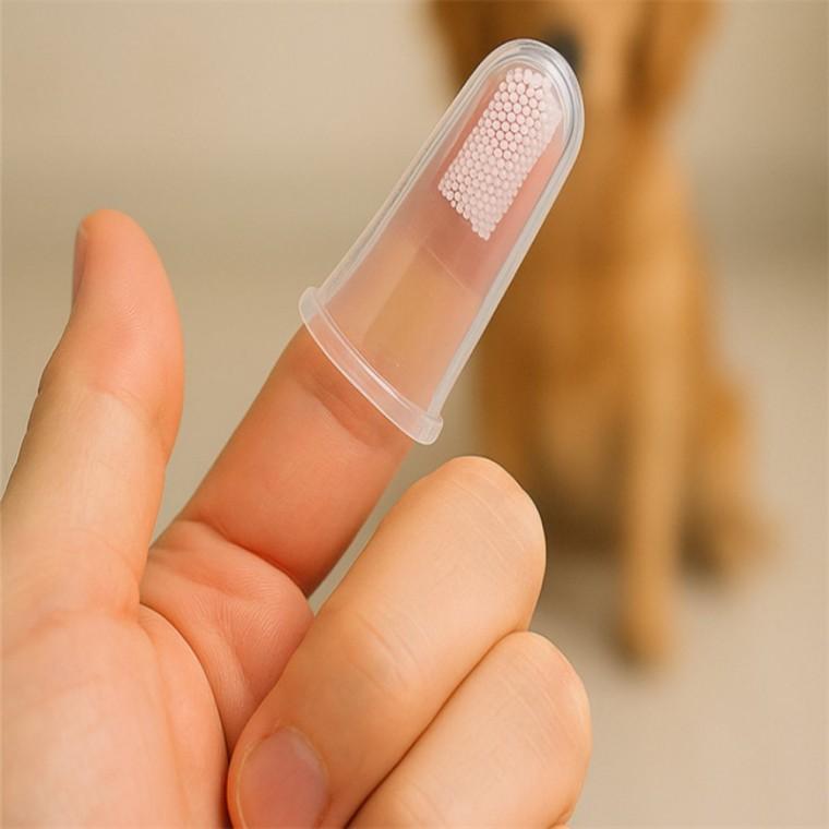 반려동물 실리콘 손가락 칫솔 10p 강아지손가락칫솔 개칫솔 새끼강아지칫솔