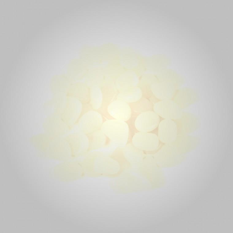 가정용 플라스틱 자갈 어항 인테리어 소품 50P 어항칼라자갈 어항장식자갈